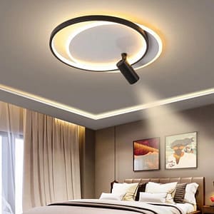 Modern Led Chandelier with Spotlight