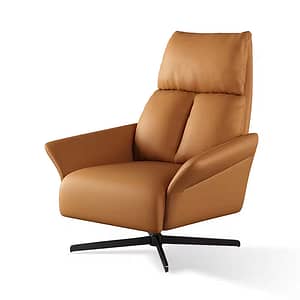 Upholstered Modern Metal Tufted Sofa Chair