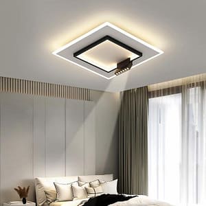 Modern Ceiling Fitting Ambient Lighting